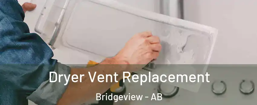  Dryer Vent Replacement Bridgeview - AB