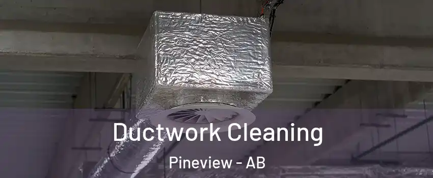  Ductwork Cleaning Pineview - AB