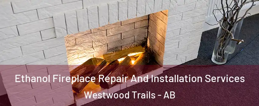  Ethanol Fireplace Repair And Installation Services Westwood Trails - AB