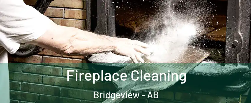  Fireplace Cleaning Bridgeview - AB