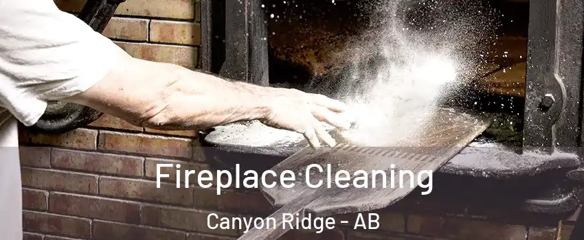  Fireplace Cleaning Canyon Ridge - AB