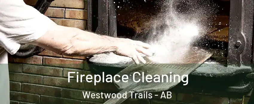  Fireplace Cleaning Westwood Trails - AB