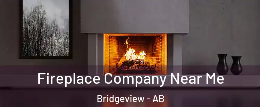  Fireplace Company Near Me Bridgeview - AB
