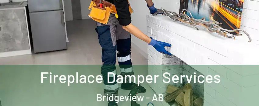  Fireplace Damper Services Bridgeview - AB