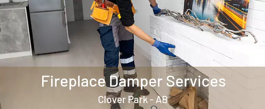  Fireplace Damper Services Clover Park - AB
