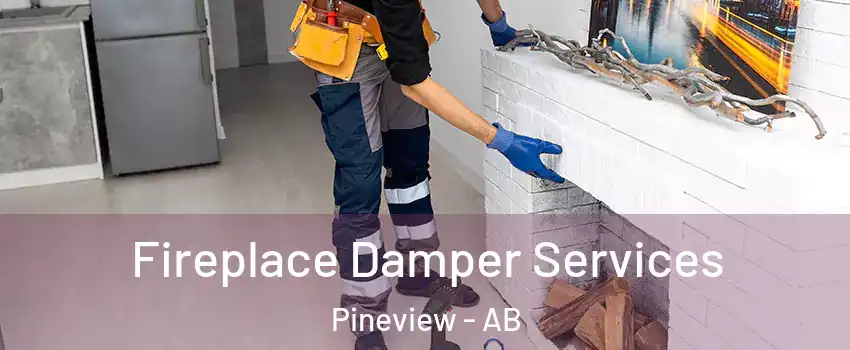  Fireplace Damper Services Pineview - AB