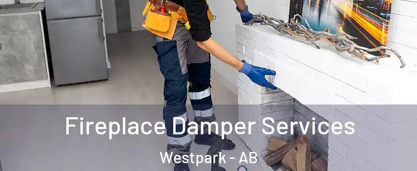  Fireplace Damper Services Westpark - AB