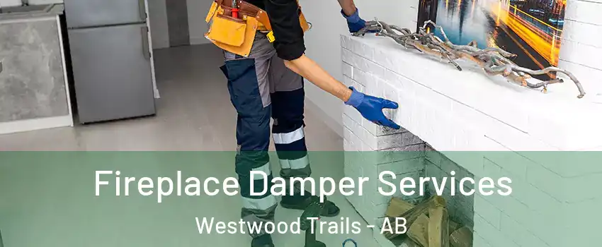  Fireplace Damper Services Westwood Trails - AB