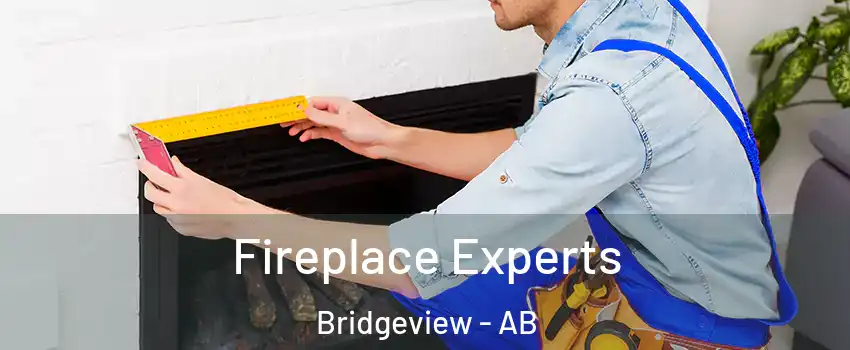  Fireplace Experts Bridgeview - AB