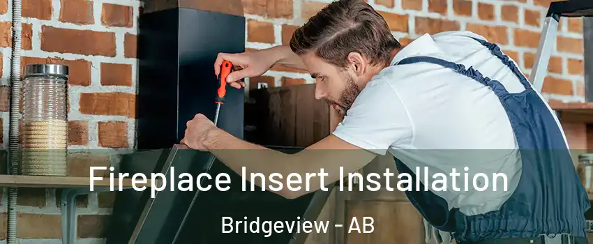  Fireplace Insert Installation Bridgeview - AB