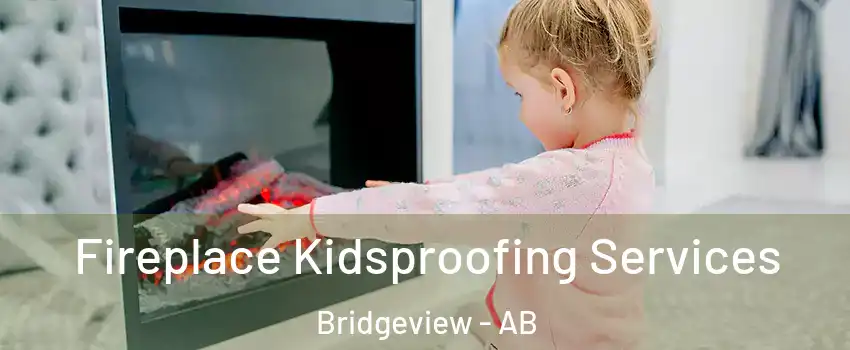  Fireplace Kidsproofing Services Bridgeview - AB