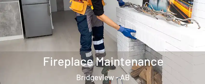  Fireplace Maintenance Bridgeview - AB