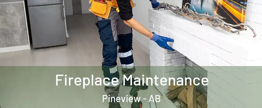  Fireplace Maintenance Pineview - AB