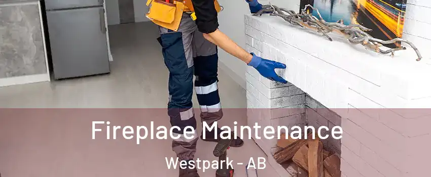  Fireplace Maintenance Westpark - AB