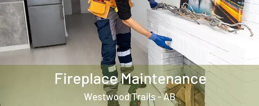  Fireplace Maintenance Westwood Trails - AB