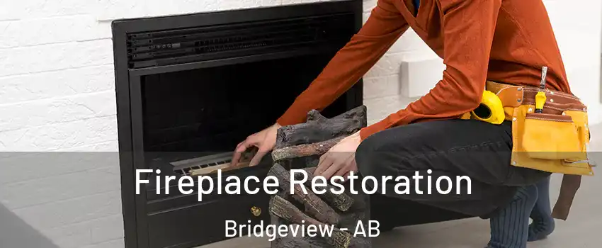 Fireplace Restoration Bridgeview - AB