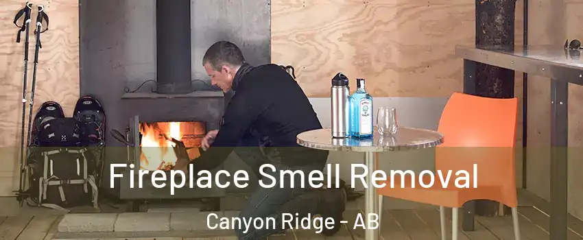  Fireplace Smell Removal Canyon Ridge - AB