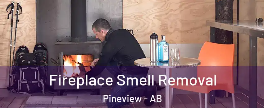  Fireplace Smell Removal Pineview - AB