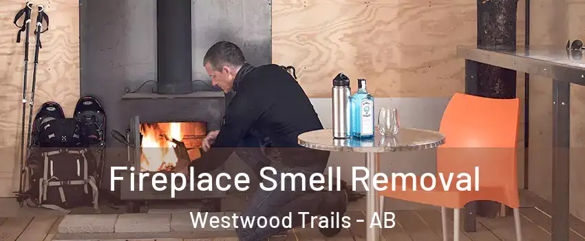  Fireplace Smell Removal Westwood Trails - AB