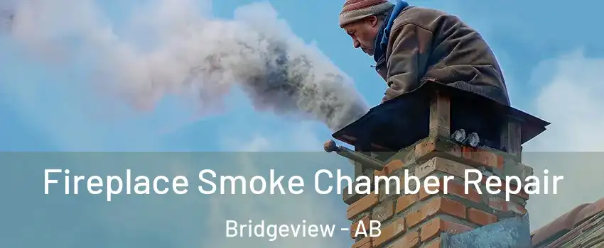  Fireplace Smoke Chamber Repair Bridgeview - AB