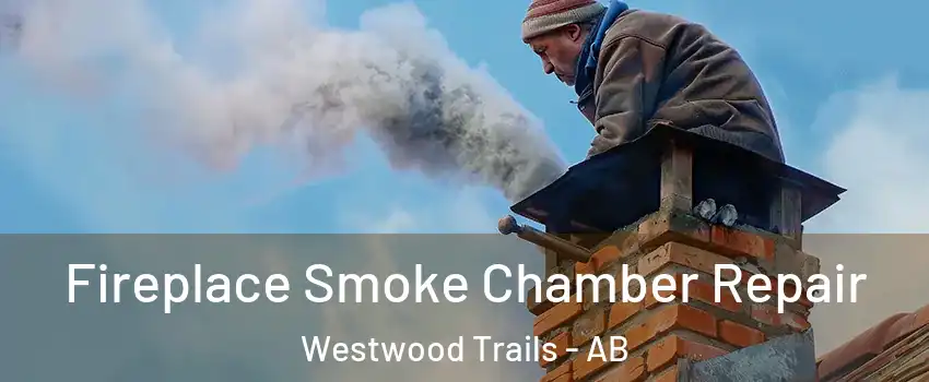  Fireplace Smoke Chamber Repair Westwood Trails - AB