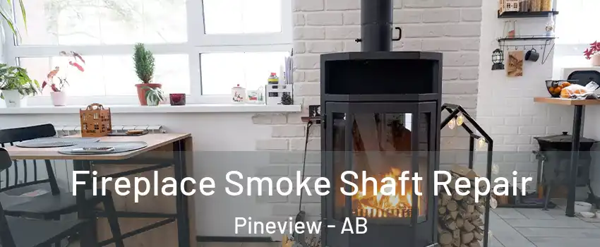  Fireplace Smoke Shaft Repair Pineview - AB