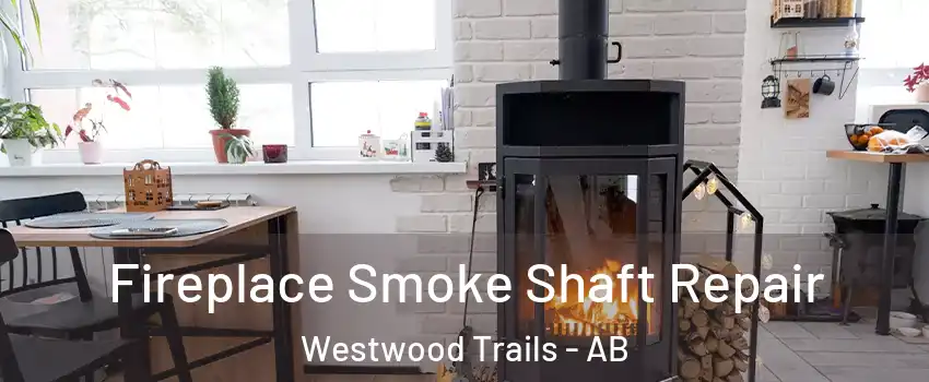  Fireplace Smoke Shaft Repair Westwood Trails - AB