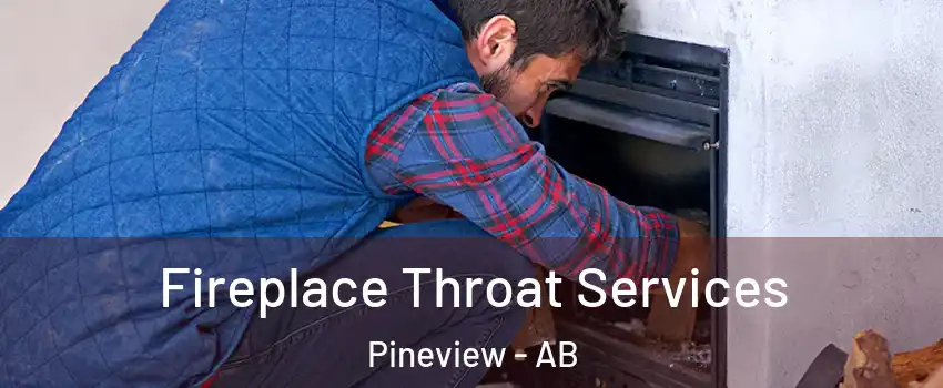  Fireplace Throat Services Pineview - AB