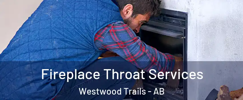  Fireplace Throat Services Westwood Trails - AB