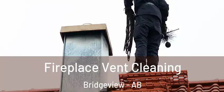  Fireplace Vent Cleaning Bridgeview - AB