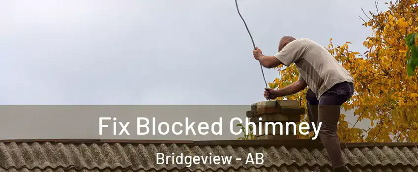  Fix Blocked Chimney Bridgeview - AB