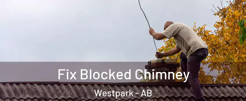  Fix Blocked Chimney Westpark - AB