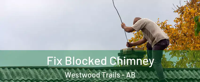  Fix Blocked Chimney Westwood Trails - AB