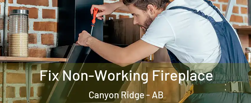  Fix Non-Working Fireplace Canyon Ridge - AB
