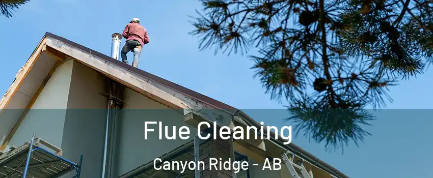  Flue Cleaning Canyon Ridge - AB