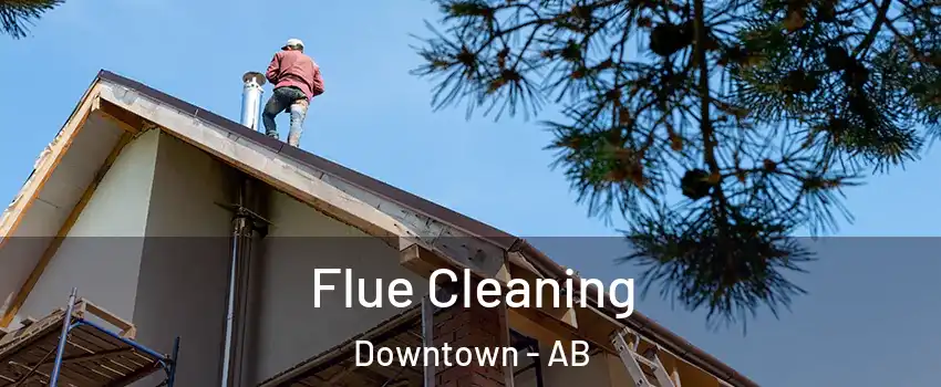  Flue Cleaning Downtown - AB
