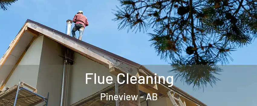  Flue Cleaning Pineview - AB