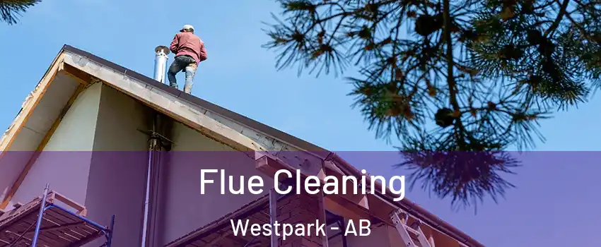  Flue Cleaning Westpark - AB