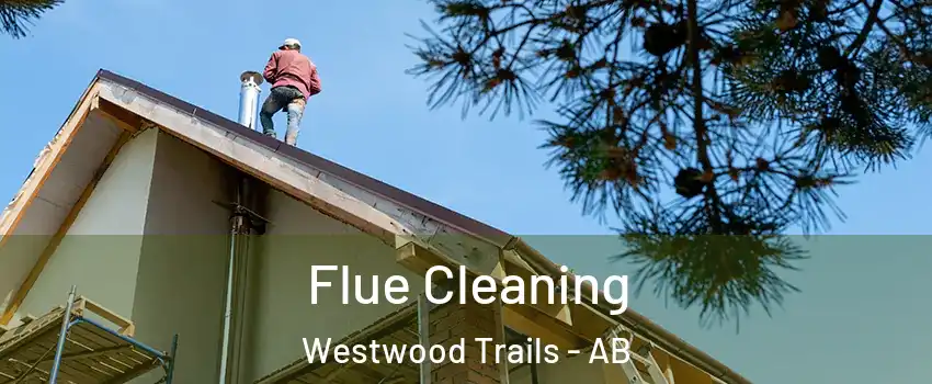  Flue Cleaning Westwood Trails - AB