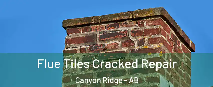  Flue Tiles Cracked Repair Canyon Ridge - AB
