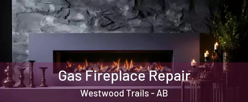  Gas Fireplace Repair Westwood Trails - AB