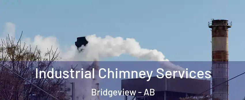  Industrial Chimney Services Bridgeview - AB