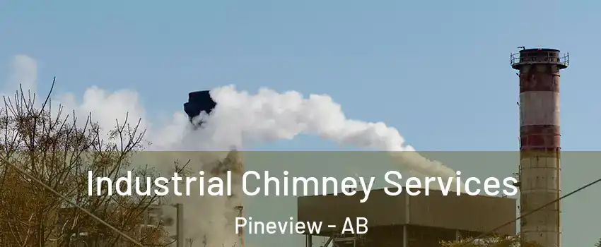  Industrial Chimney Services Pineview - AB
