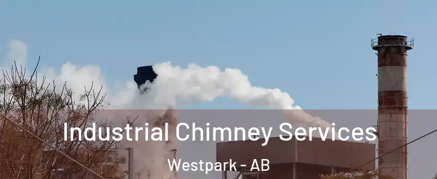  Industrial Chimney Services Westpark - AB