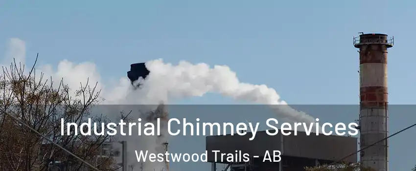  Industrial Chimney Services Westwood Trails - AB