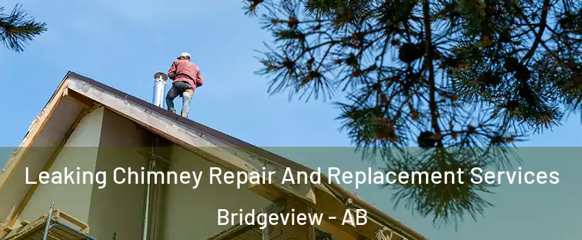  Leaking Chimney Repair And Replacement Services Bridgeview - AB
