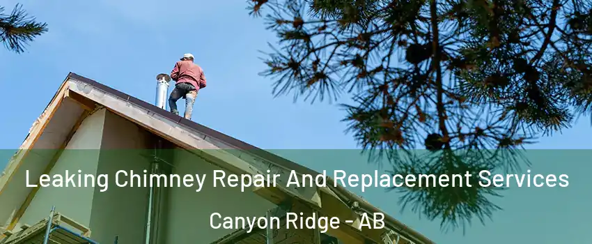  Leaking Chimney Repair And Replacement Services Canyon Ridge - AB