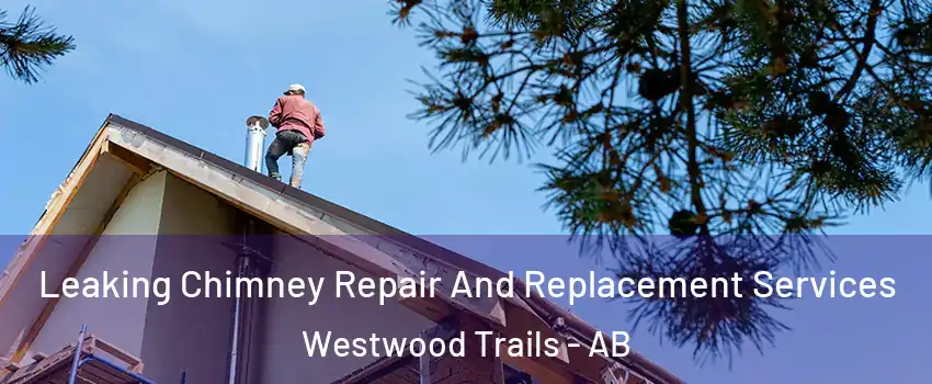  Leaking Chimney Repair And Replacement Services Westwood Trails - AB