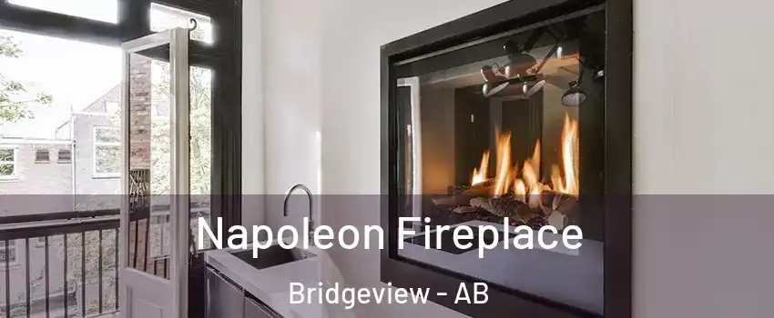  Napoleon Fireplace Bridgeview - AB