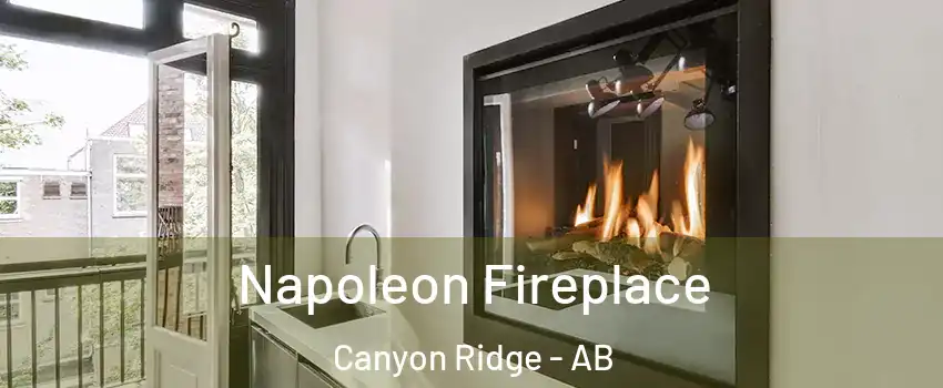  Napoleon Fireplace Canyon Ridge - AB